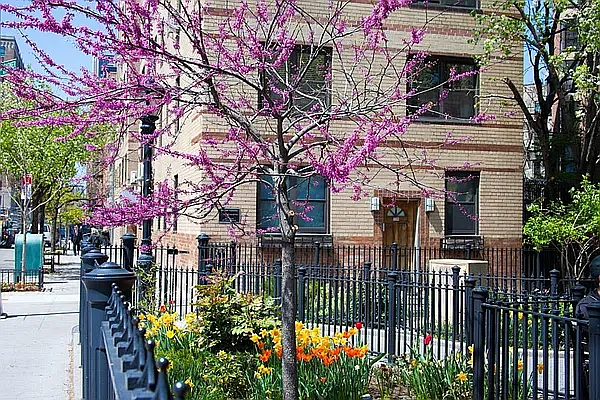 Rented by Compass | media 18