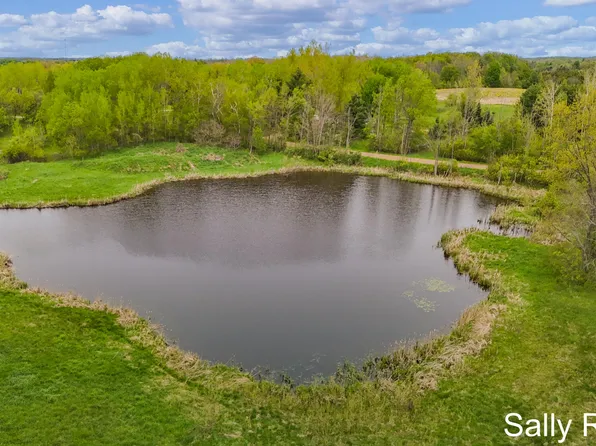 9 Mile Rd, Reed City, MI 49677