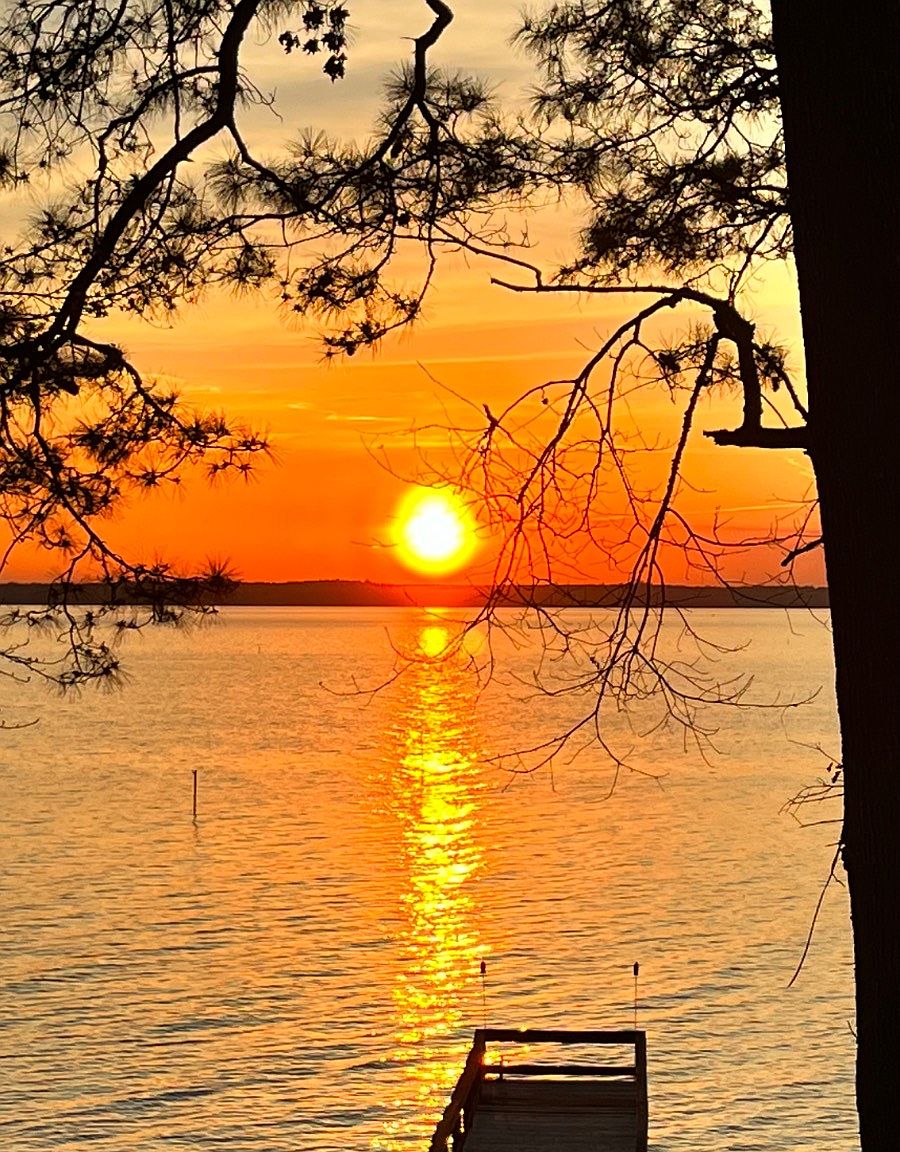 280 Emmons Ln, Converse, LA 71419 MLS 11258079 Zillow