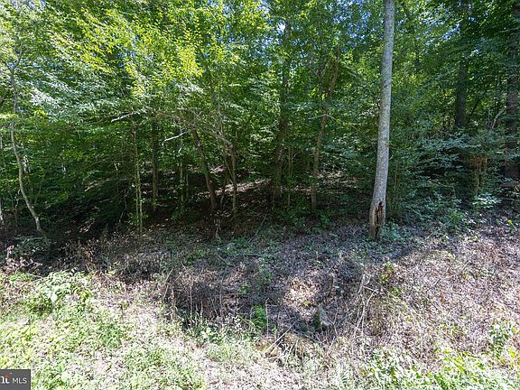 4th image of Grassland 6a