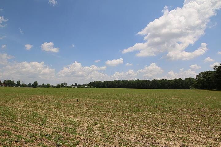 2nd image of 0 Nichols Ln