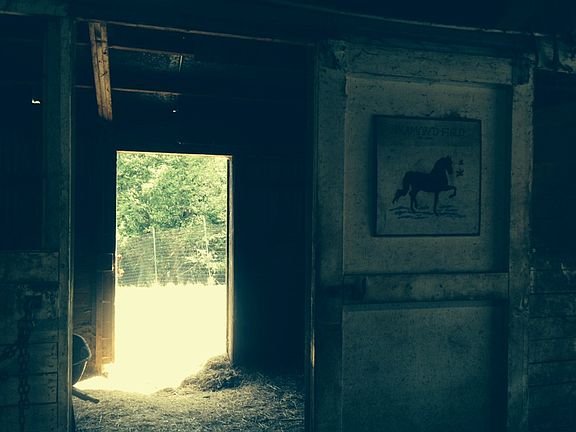 Barn Stalls 2 
