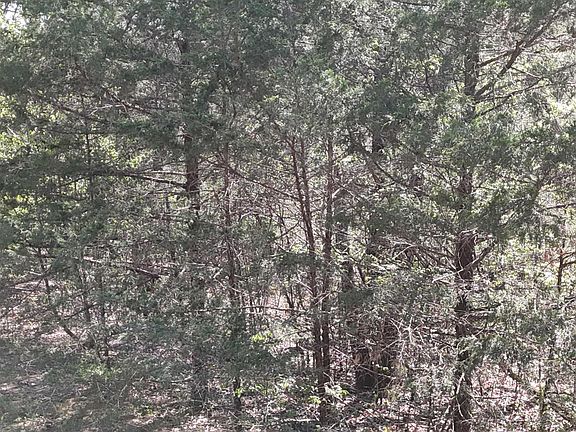 4th image of Lot #94 Gumbo Woods