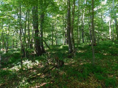 9 Cherry Wood Ln, Terra Alta, WV, 26764