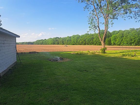 Backyard -2
