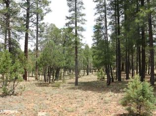 2869 Roundup Ln #252, Happy Jack, AZ 86024