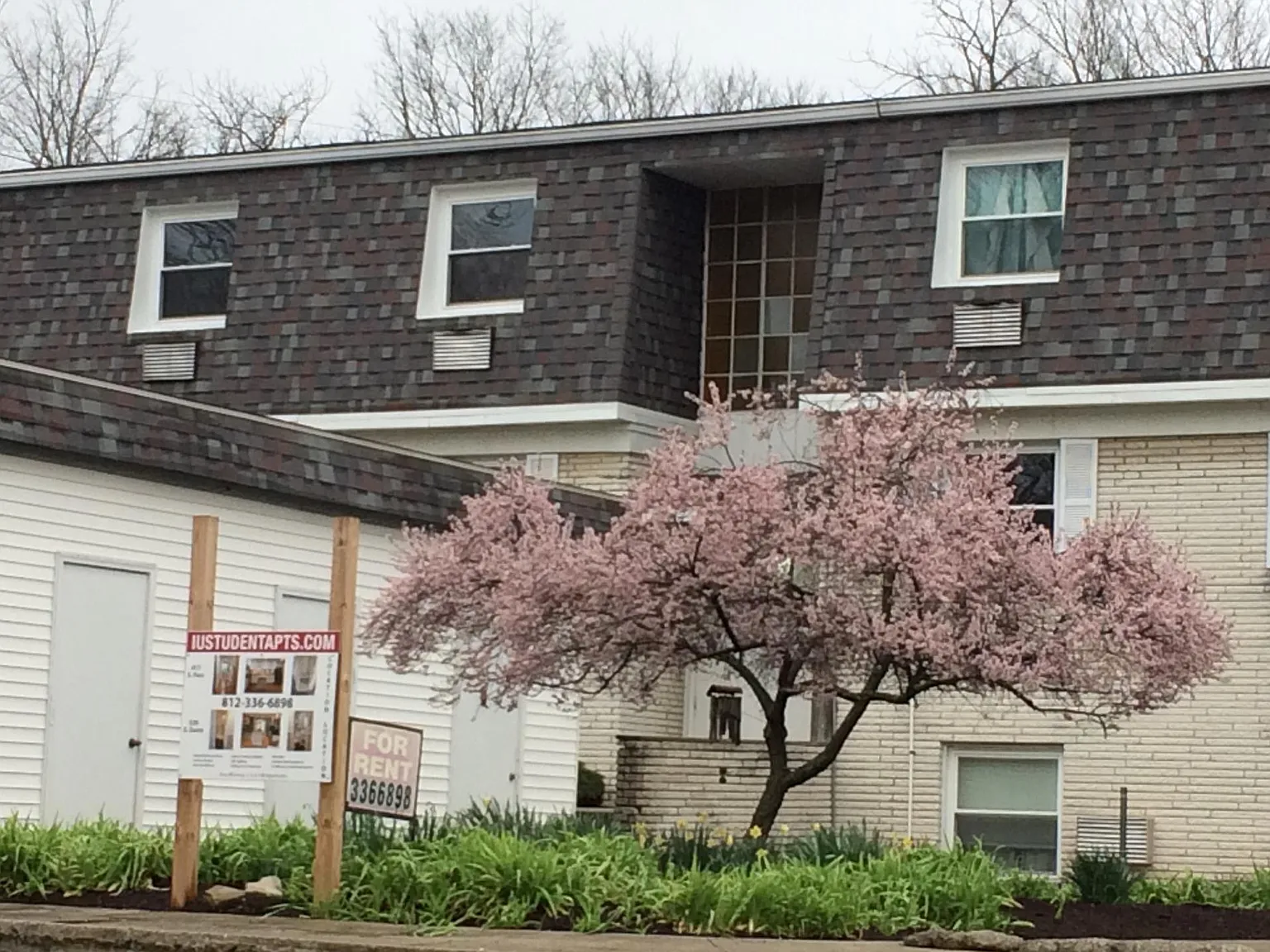 3 bed, 1200 sqft, $3,000 — Photo 4