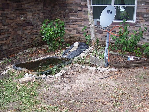 Fish pond