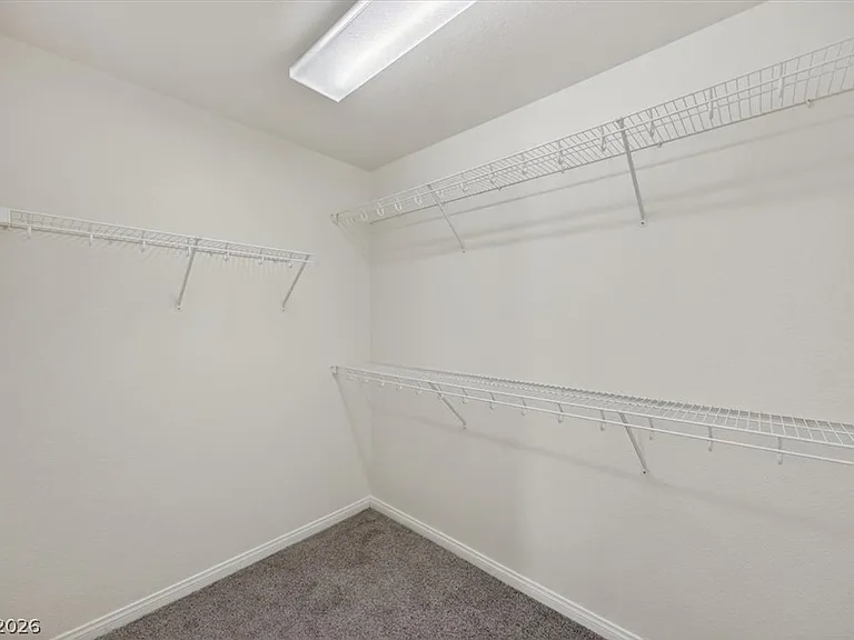 8380 Bismark Sapphire St #0 — Photo 28