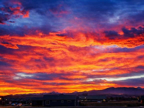 2nd image of 3560 Peruvian Torch Dr