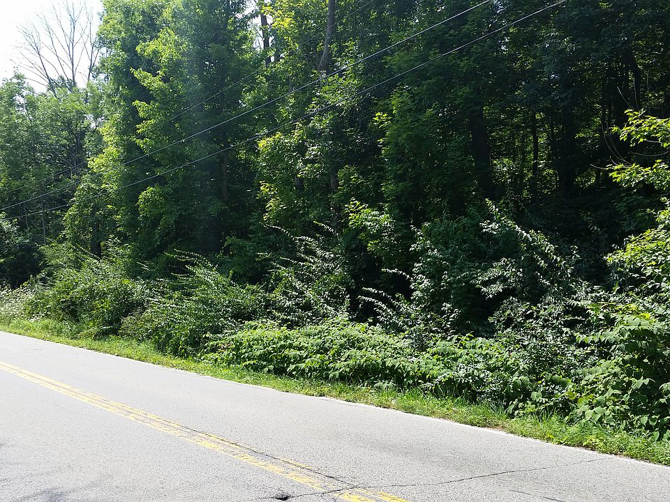 Street view in summer