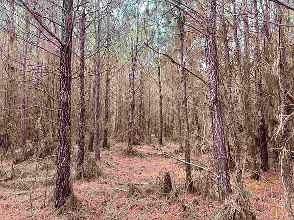 5th image of 106.6 Acres-TBD Highway 52