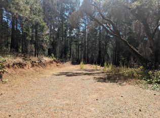 5037 Old Mine Rd, Grizzly Flats, CA 95636