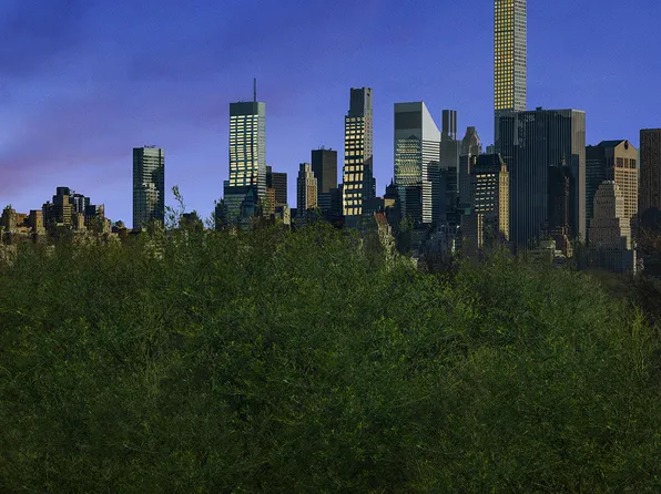 11 West 81st Street image 10 of 12