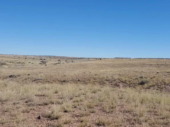23 County Road 6030, Concho, AZ 85924