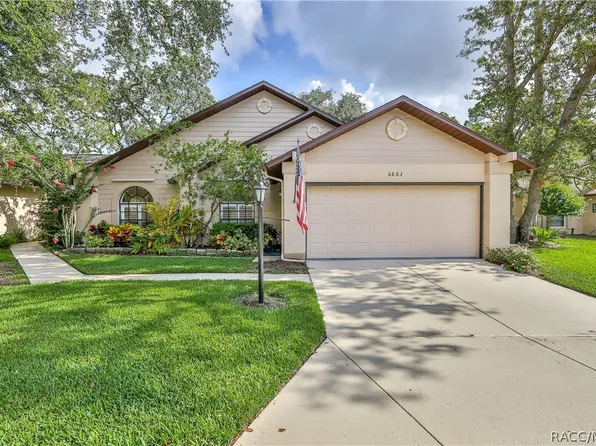 6803 Plumleaf Ct, Spring Hill, FL 34606