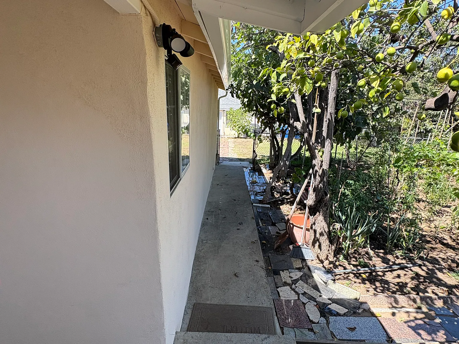 1 bed, 360 sqft, $1,600 — Photo 3