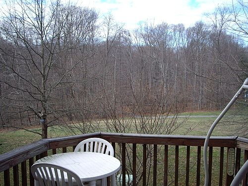 5th image of 14850 Lynhodge Ct