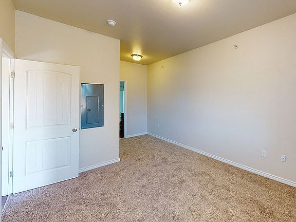 Carpeted Primary Bedroom
