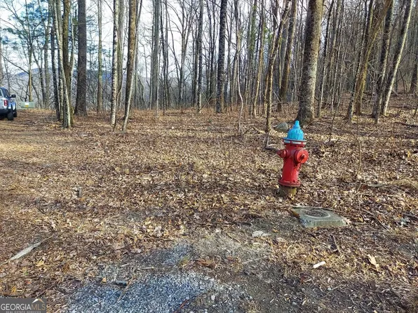 9 & 9A Wild Bird Ln, Dillard, GA 30537