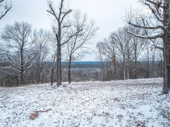 0 Click Rd, Richwoods, MO 63071