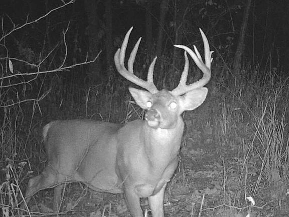 4th image of 8555 Eleven Mile Rd