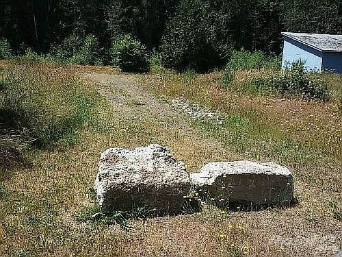 cam10356_w500_h375