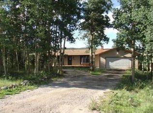 1094 High Creek Rd, Fairplay, CO 80440