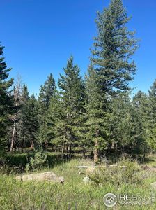 124 Maroon Bells Cir, Livermore, CO, 80536