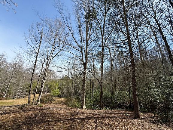 5th image of 142 Stone Valley Cir