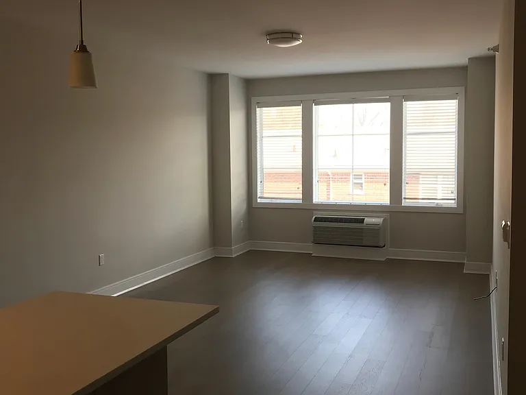 461 Palisades Blvd #306 — Photo 3