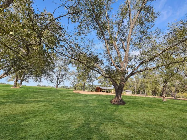 3781 County Road 28, Slocomb, AL 36375