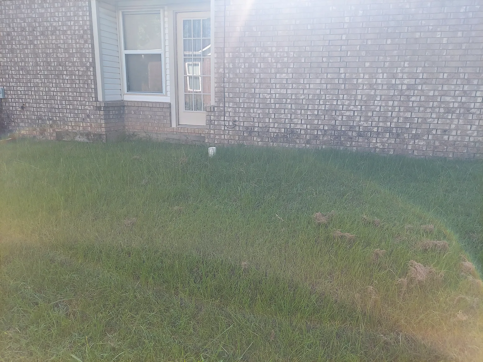 2 bed, 909 sqft, $800 — Photo 4