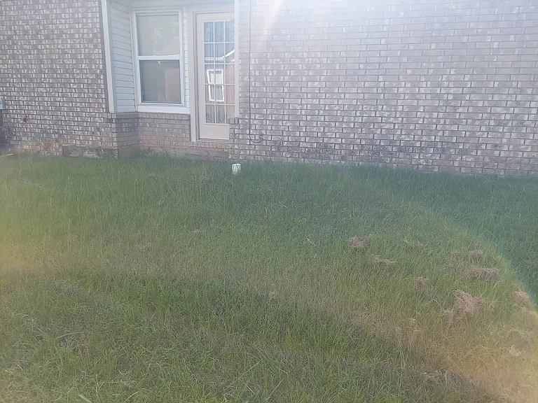 Left side of house
