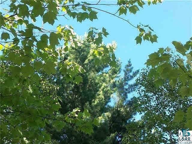 1st image of xxxx Three Deer Haven Dr