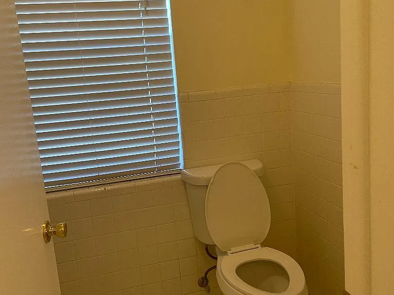 Guest Bath toilet