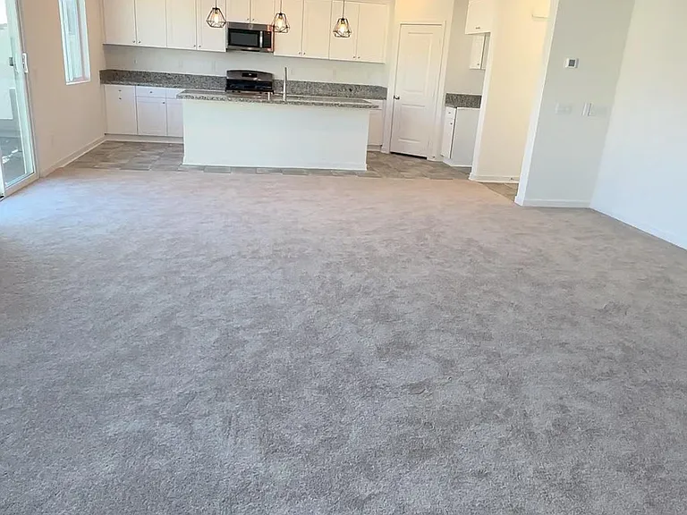 33029 Beige St — Photo 5