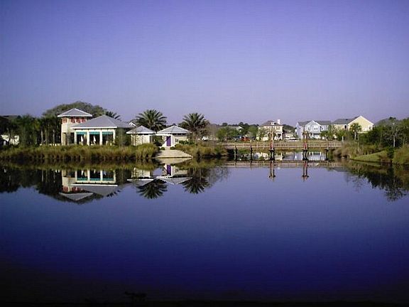 Back Yard View - WOW