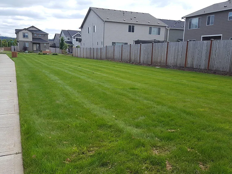 Park next to the house.
