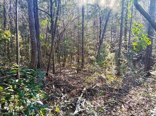 0 State Highway 210 Is, Sneads Ferry, NC 28460