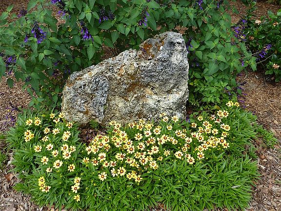 Low maintenance landscaping 