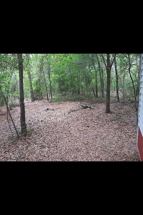 1st image of 8118 W Demaio Ln