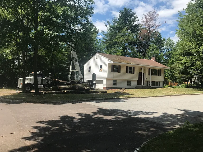 8 Deborah Dr — Photo 8