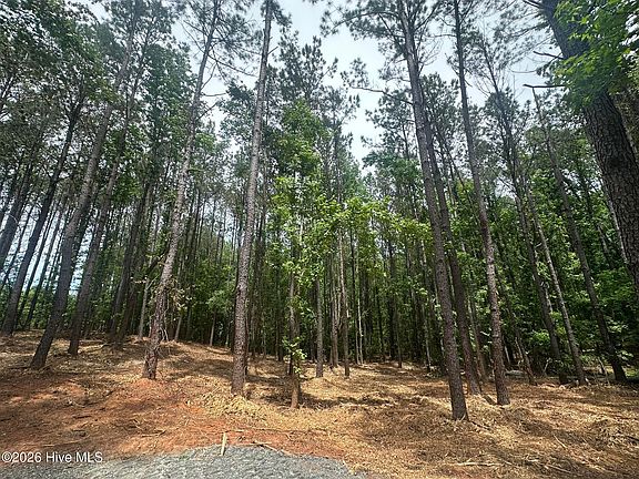 5th image of 6563 E Ridge Rd Lot 1-E