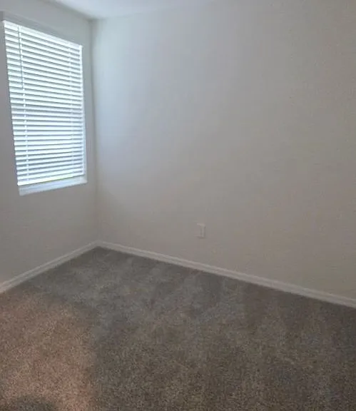 3916 Giorgio Dr — Photo 17