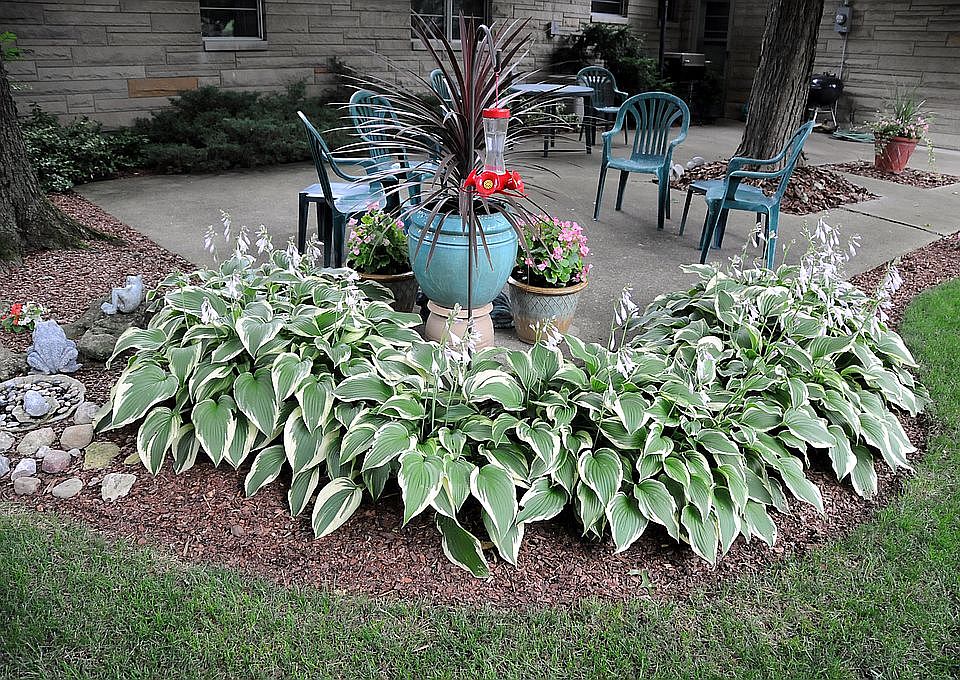 7969 Blvd, Indianapolis, IN 46240 Zillow