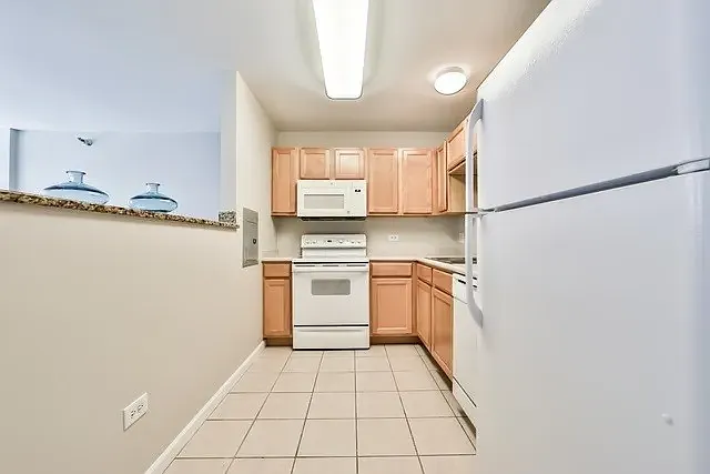 345 N La Salle Dr #609 — Photo 4