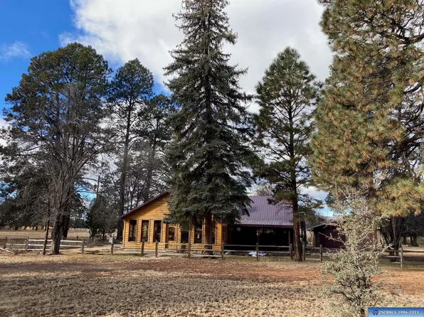 29 Razumny Ranch Rd, Reserve, NM 87830