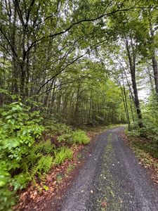 101 Gilsum Road #1, Sullivan, NH, 03445