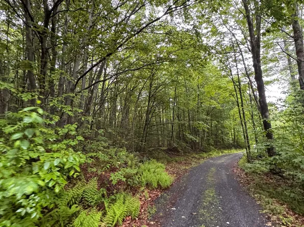 101 Gilsum Road #1, Sullivan, NH 03445